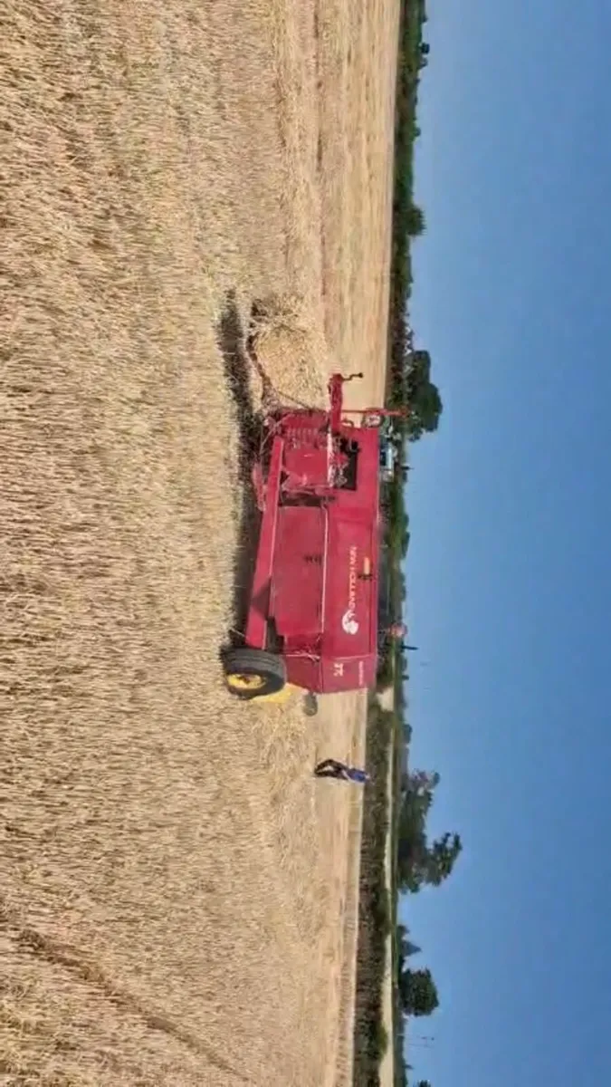 Straw - Image 3