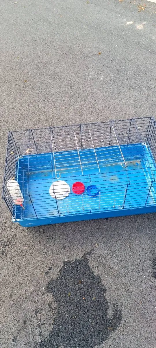 Rabbit/guinea pig cage - Image 1