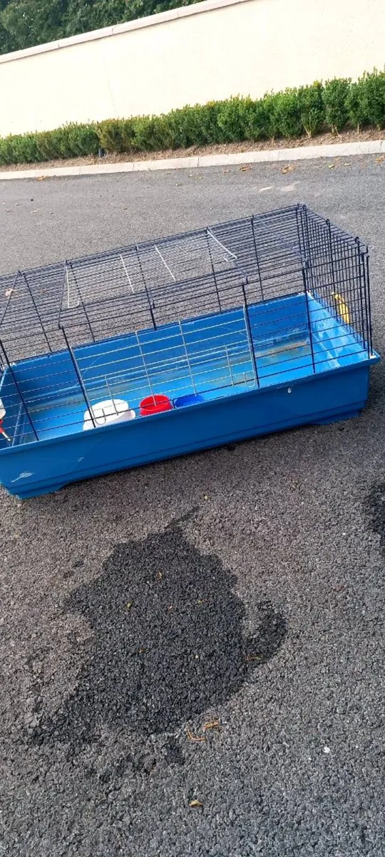 Rabbit/guinea pig cage - Image 2