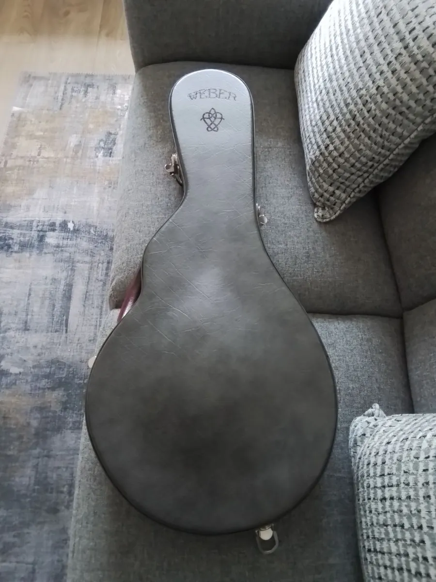 Weber yellowstone f5 mandolin - Image 3