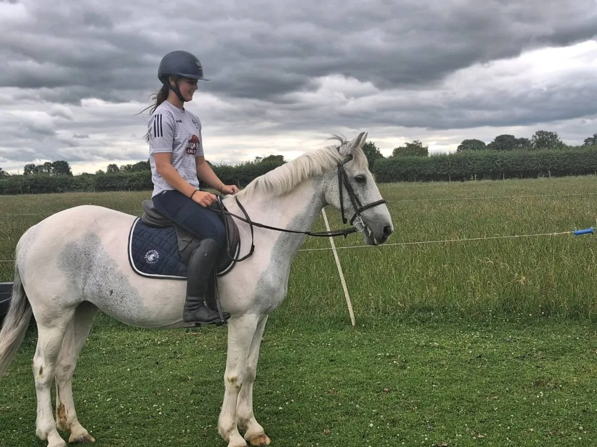 All rounder Pony