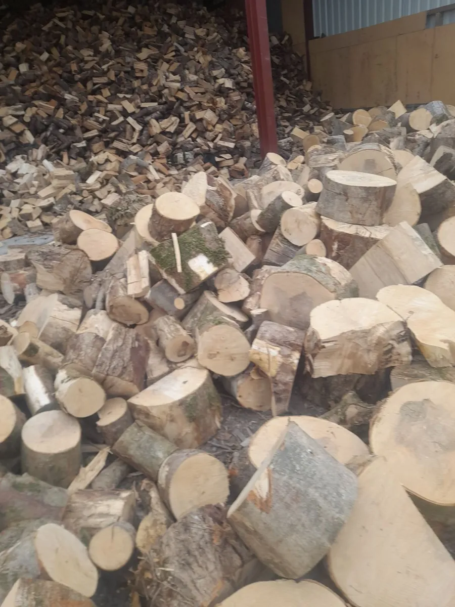 Hardwood firewood - Image 1