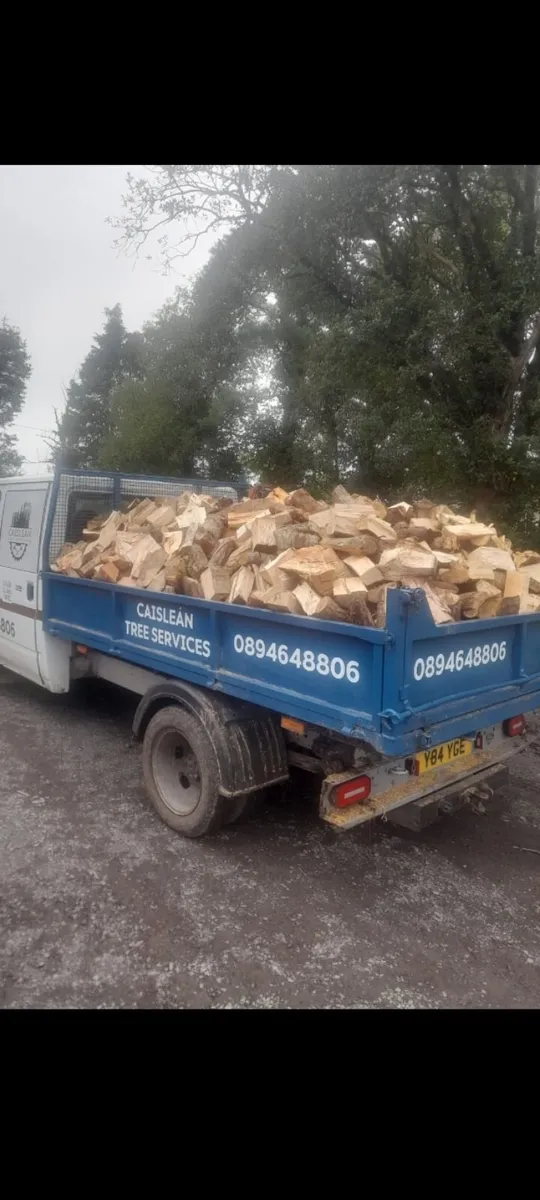 Hardwood firewood - Image 2