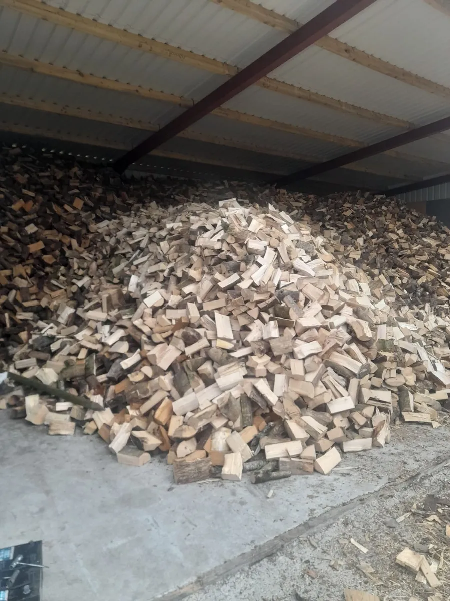 Hardwood firewood - Image 3