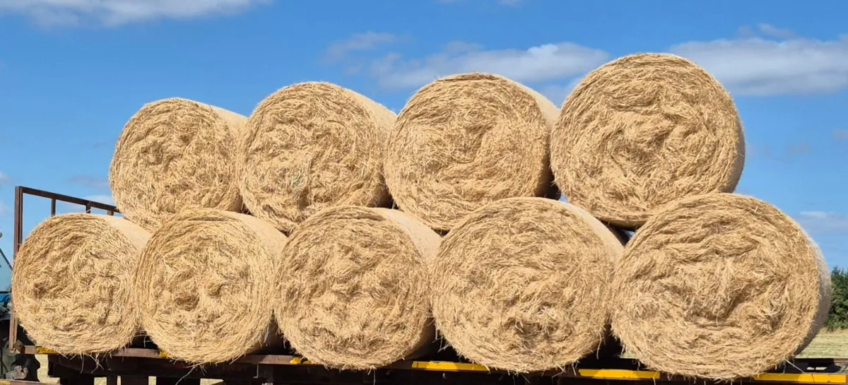 Top quality and clean round bales of hay for sale