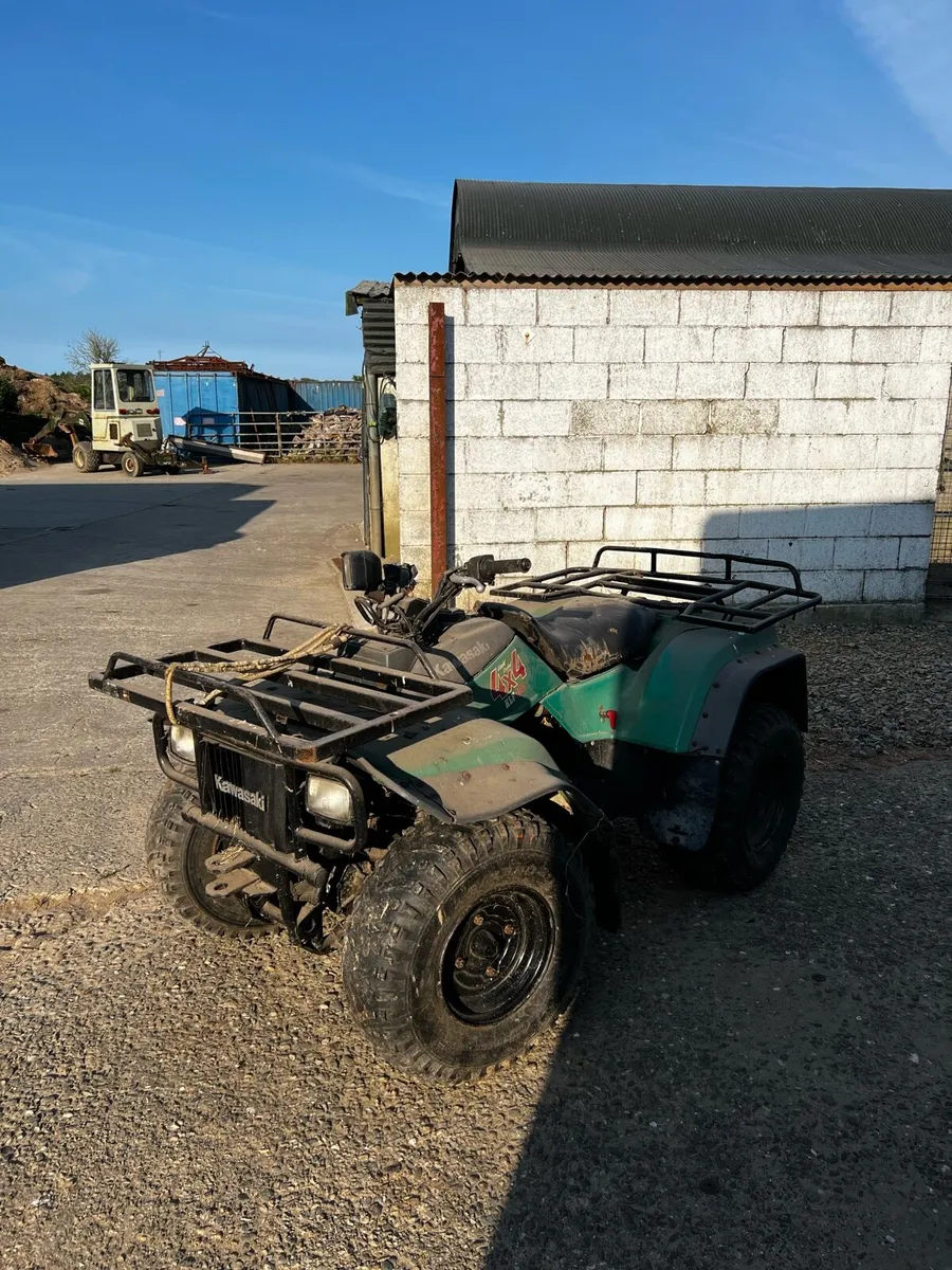 Kawasaki Quad - Image 1