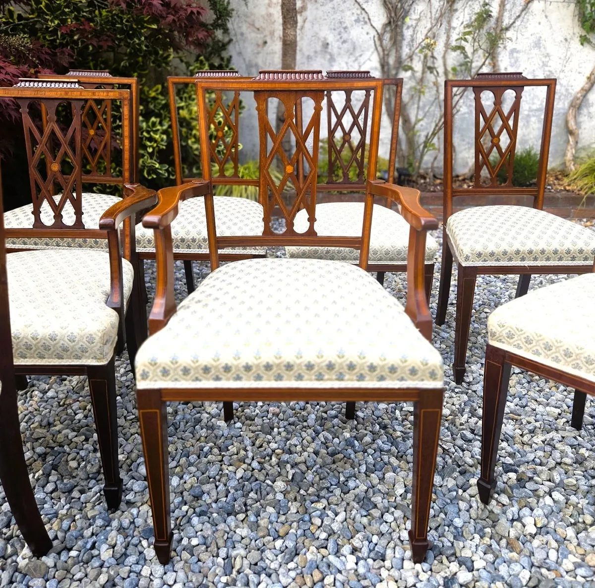 10  x Edwardian Inlaid Chairs- Circa 1905 - Image 2