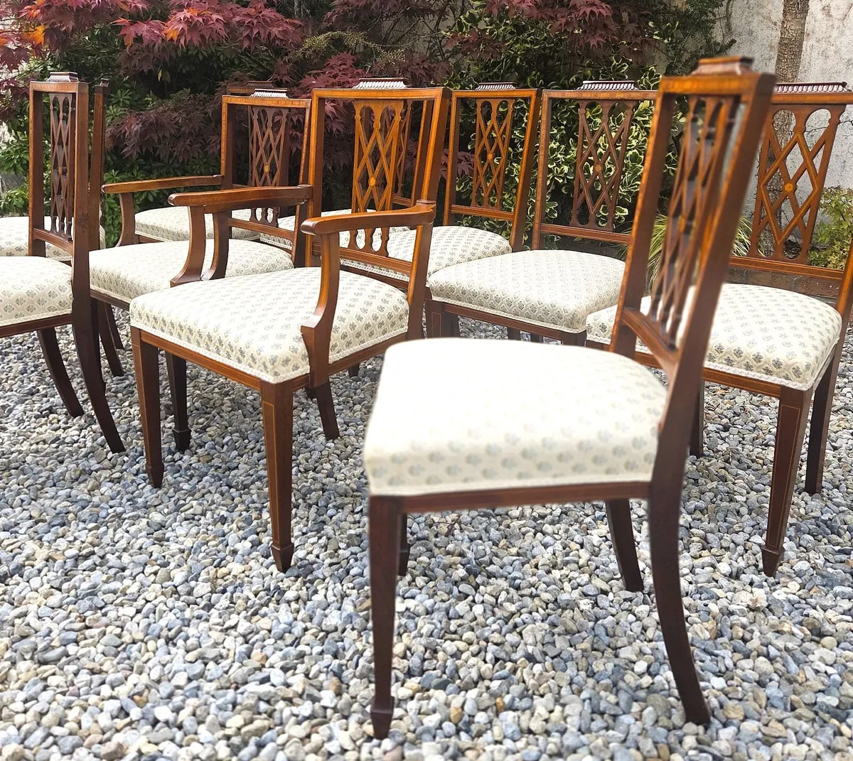 10  x Edwardian Inlaid Chairs- Circa 1905 - Image 3