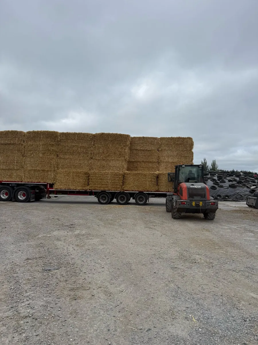 8x4x3 barley straw - Image 2