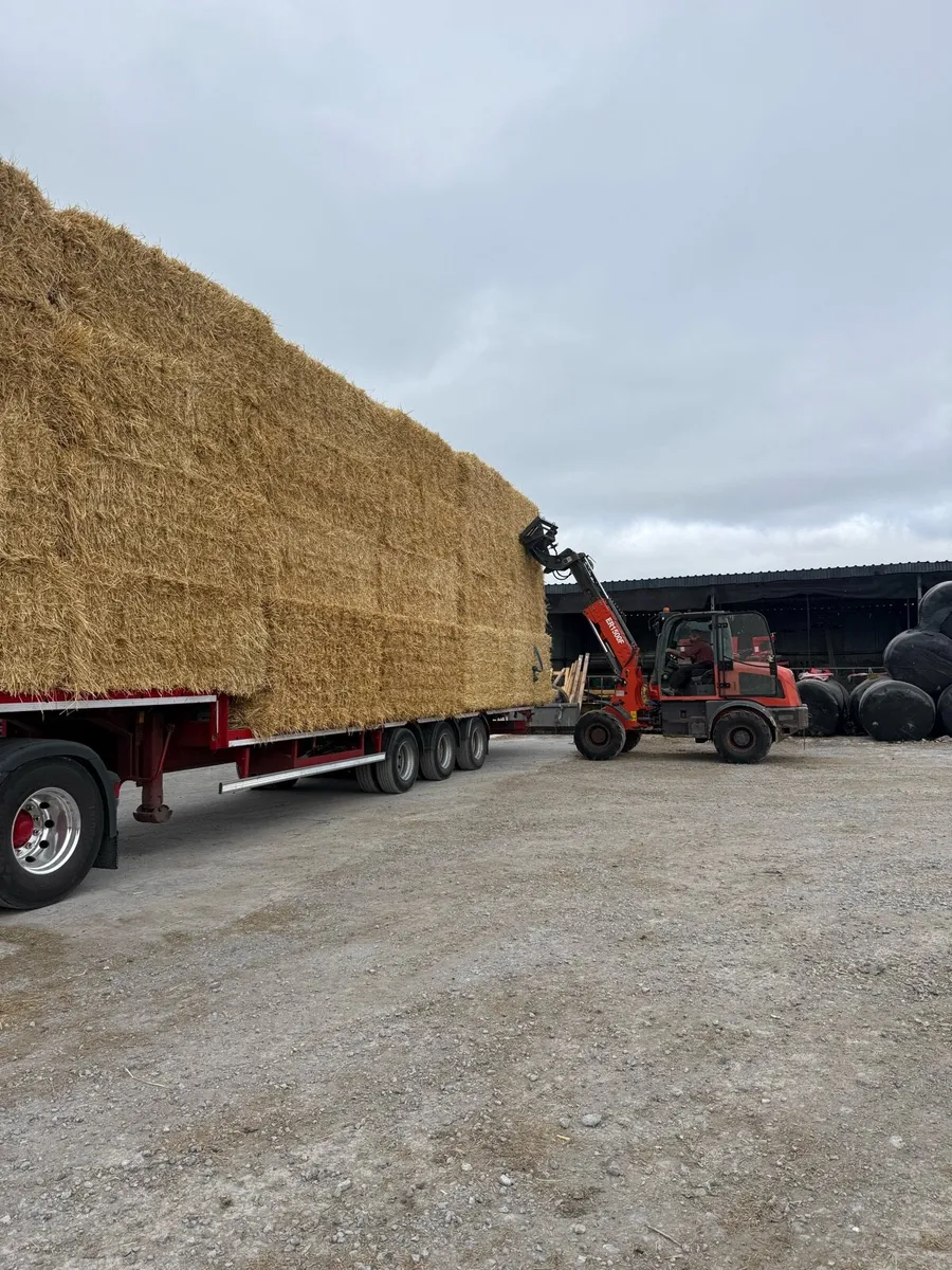 8x4x3 barley straw - Image 1