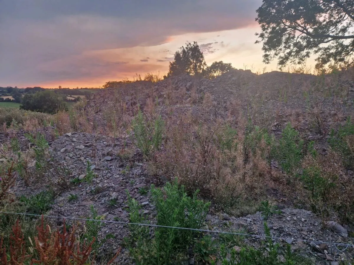 Topsoil, trunking - Image 3