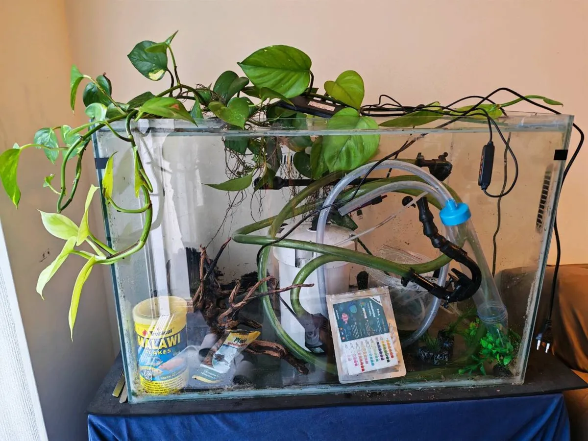 Complete Fishtank - Image 2