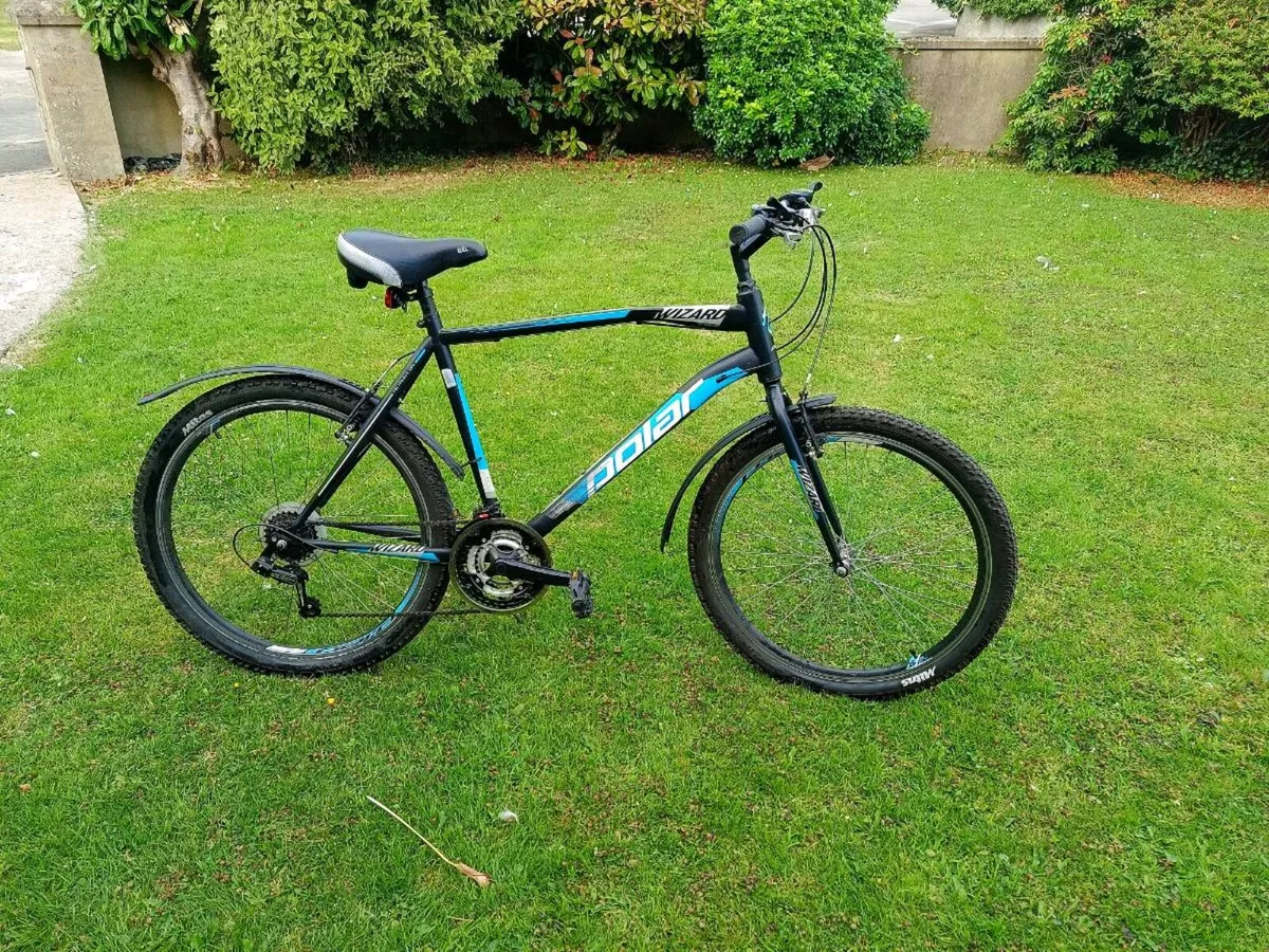 Bicycle - Image 1