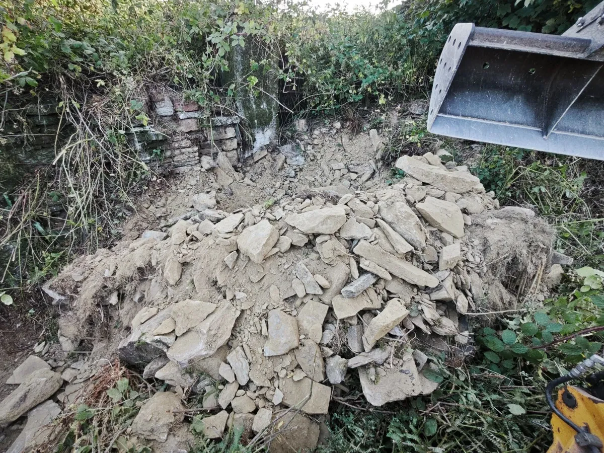 Stone free to collect - Image 2
