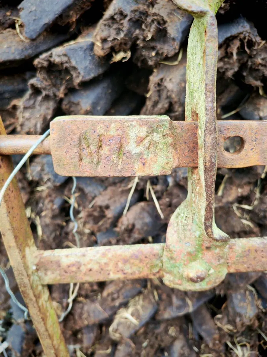 Antique Hand-Forged Irish Farm Gate - Image 2