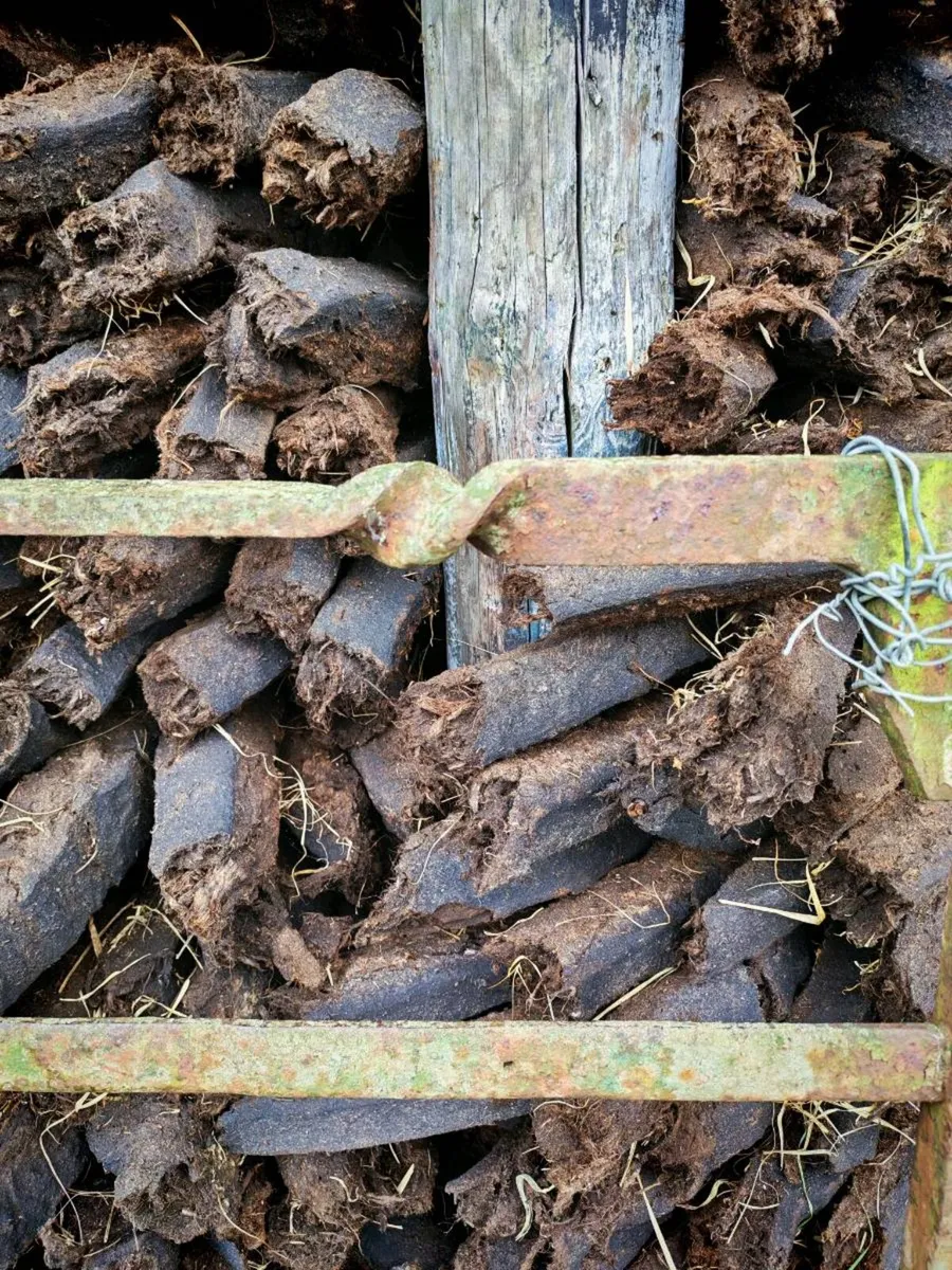 Antique Hand-Forged Irish Farm Gate - Image 3