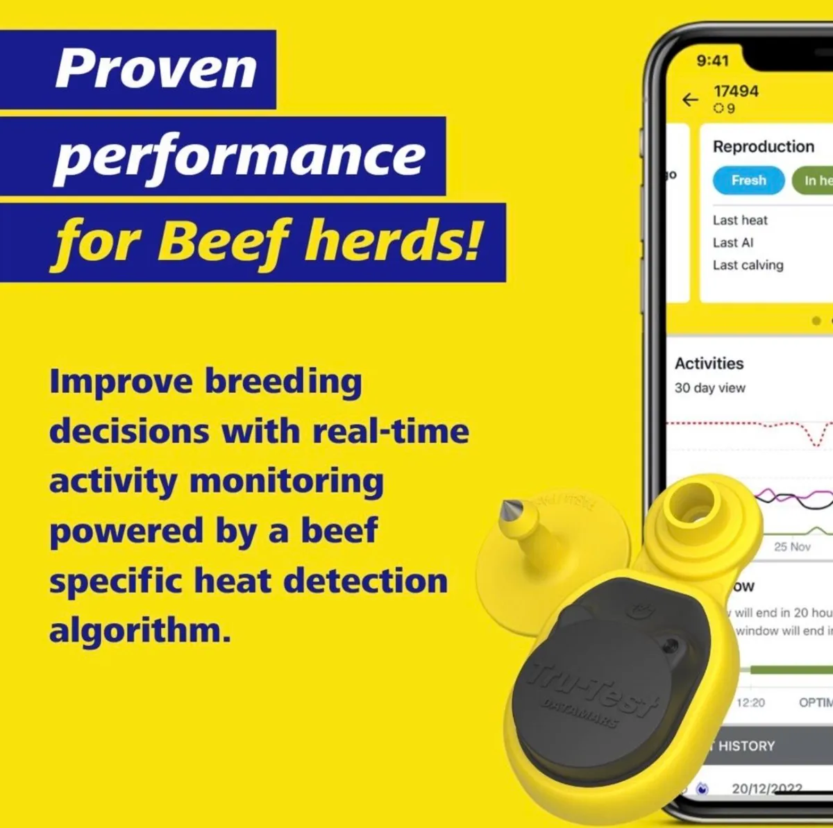 Beef Heat and Health detection system - Image 2