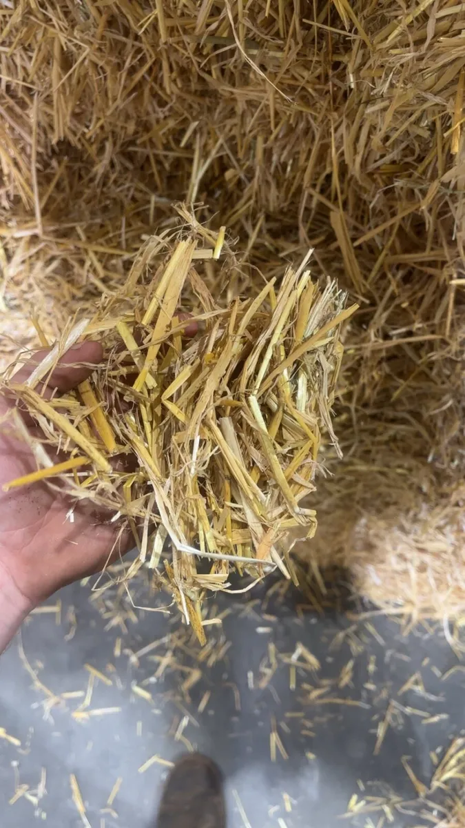 Straw - Image 1