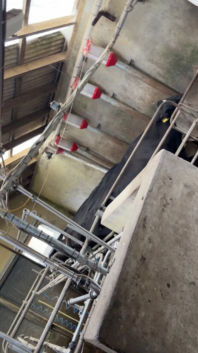 Milking parlour - Image 1