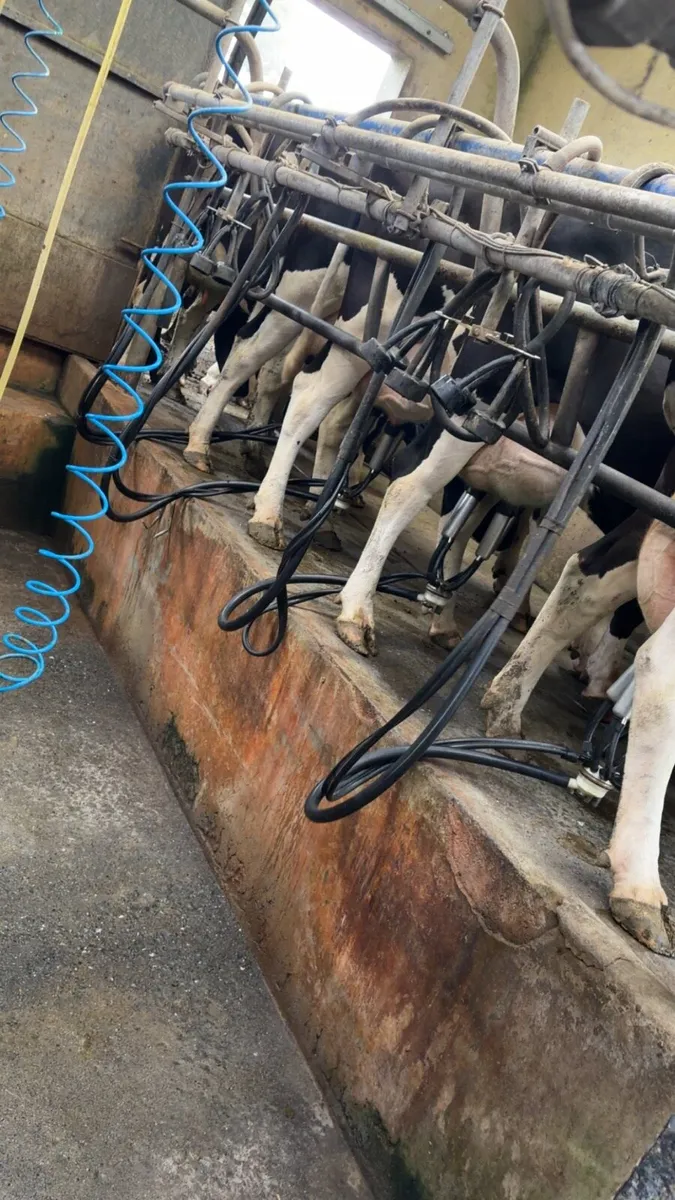 Milking parlour - Image 3