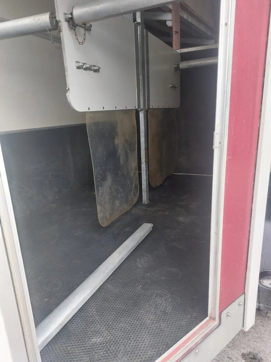 Nugent sp25 horse box - Image 3