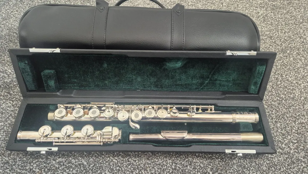 mcneela Urbano Beginner Silver Flute Set - Image 1