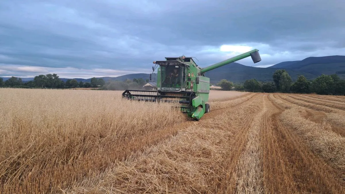 Deutz - Image 1