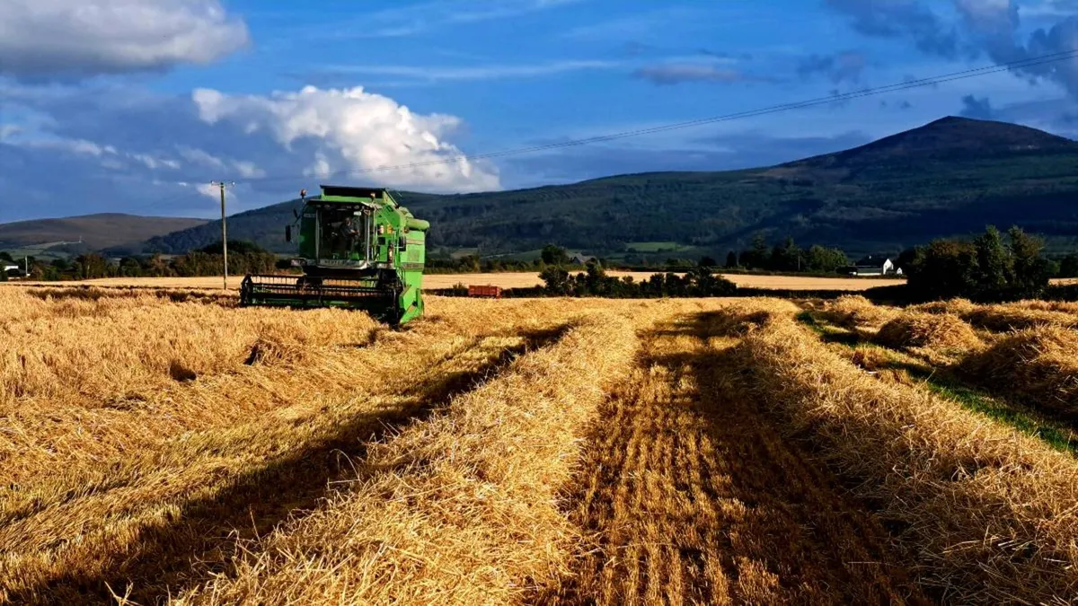 Deutz - Image 3