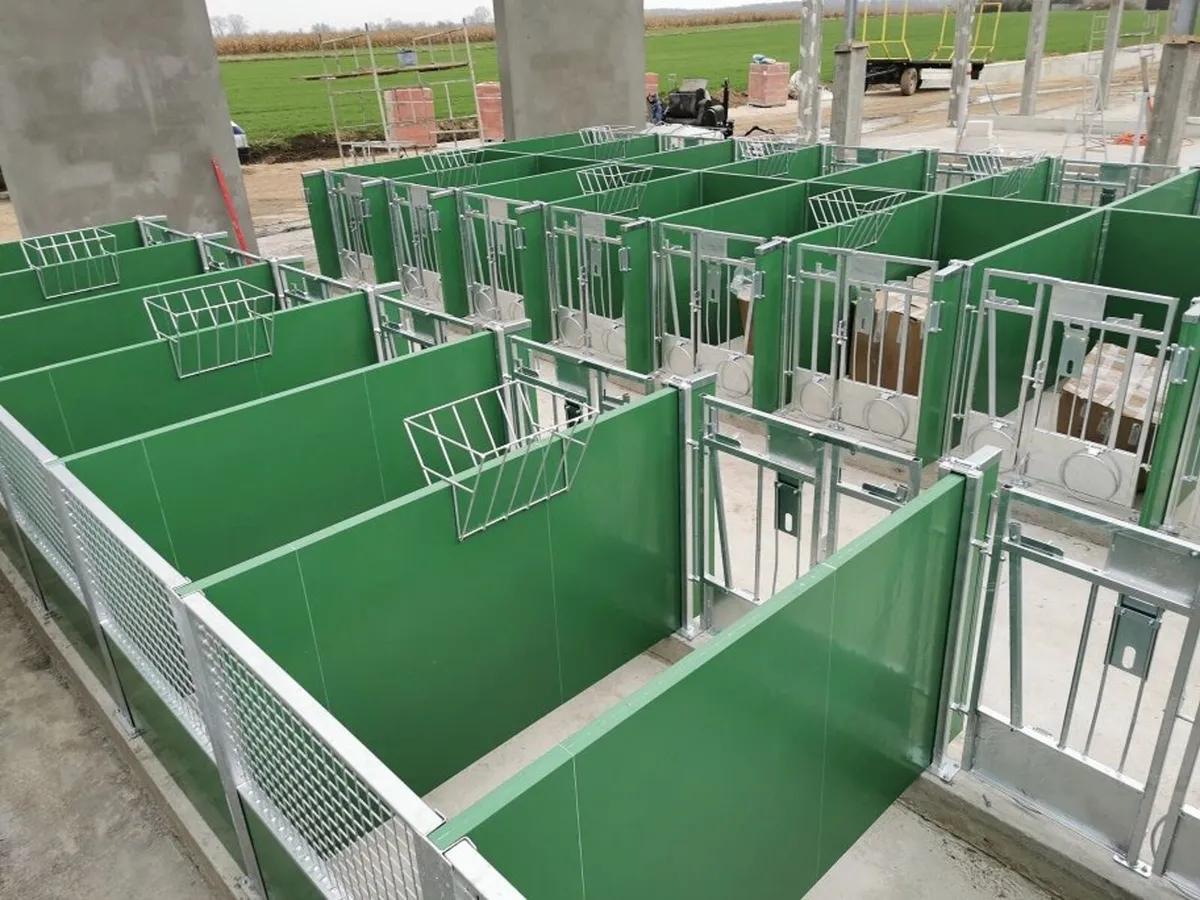 Calf Pens - Image 4
