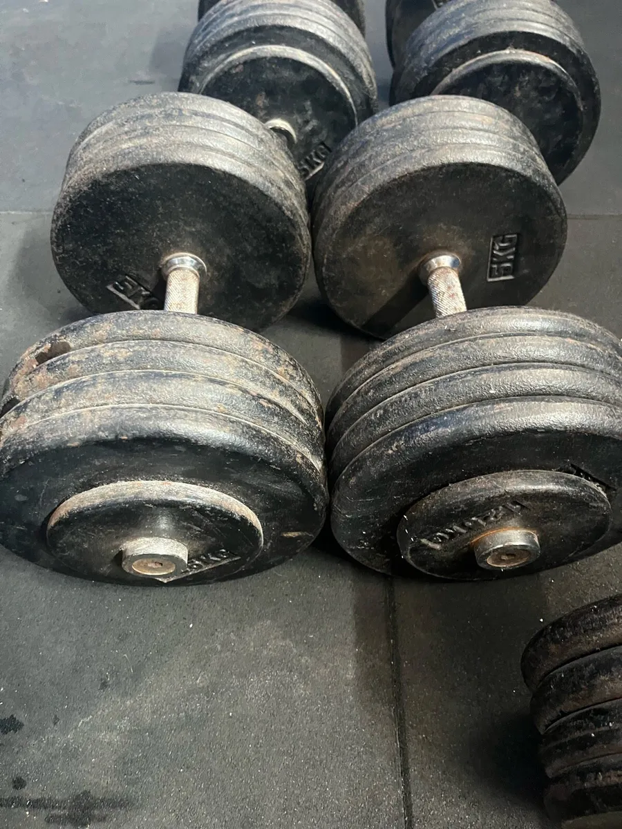 42.5kg Dumbbell Pair⁠