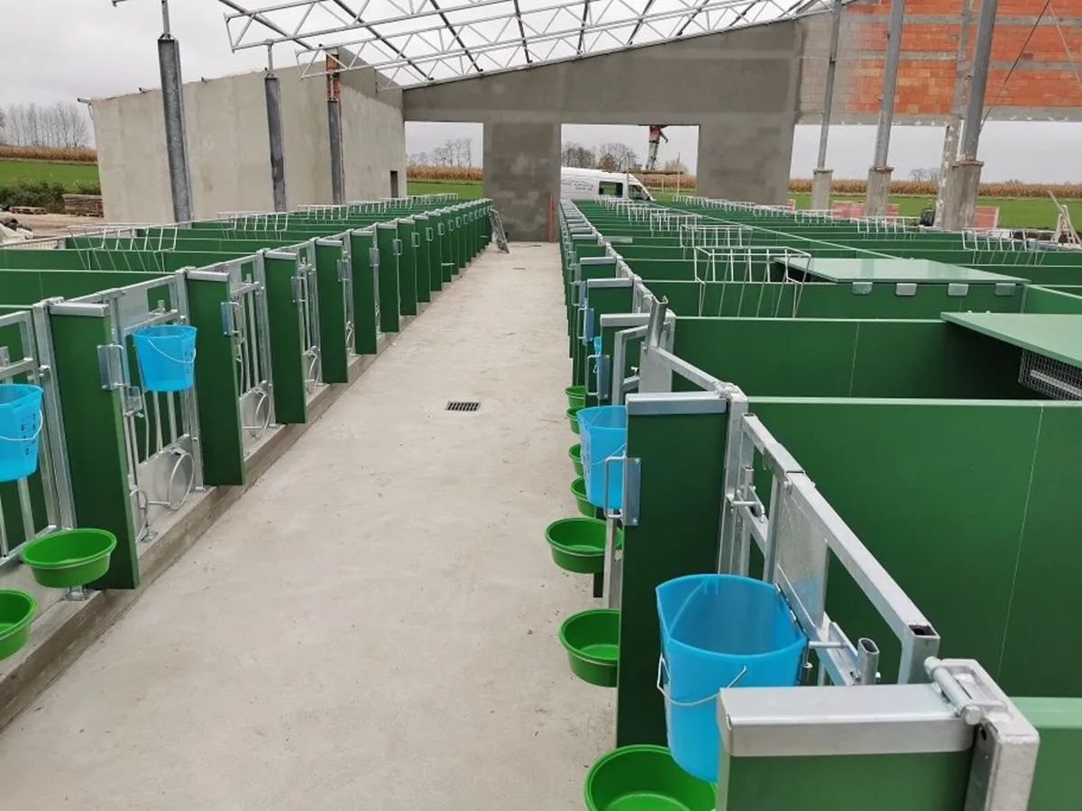 Calf Pens - Image 3
