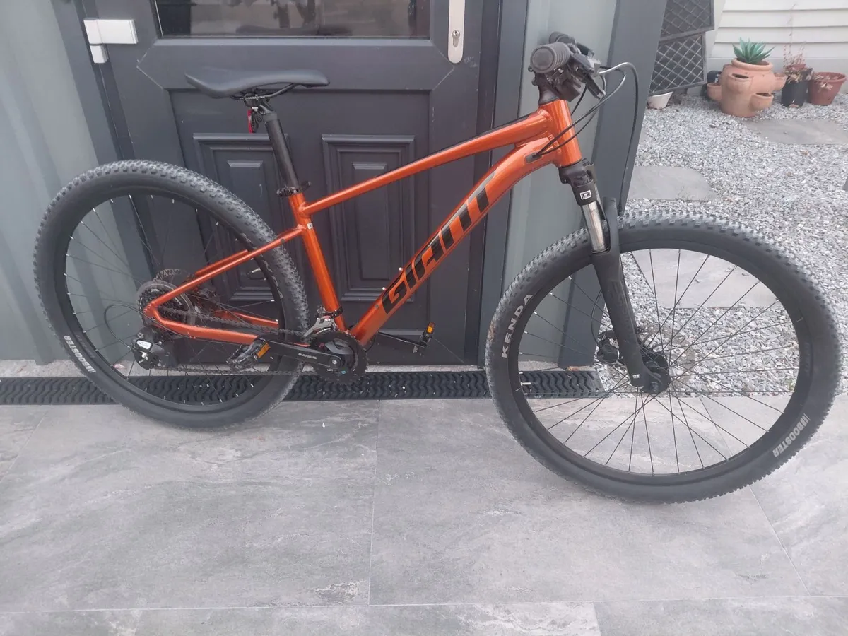 mountain bike - Image 1