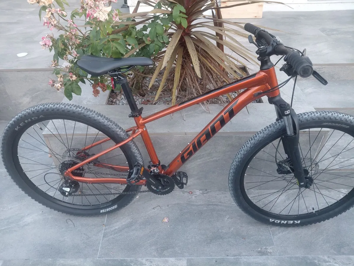 mountain bike - Image 2