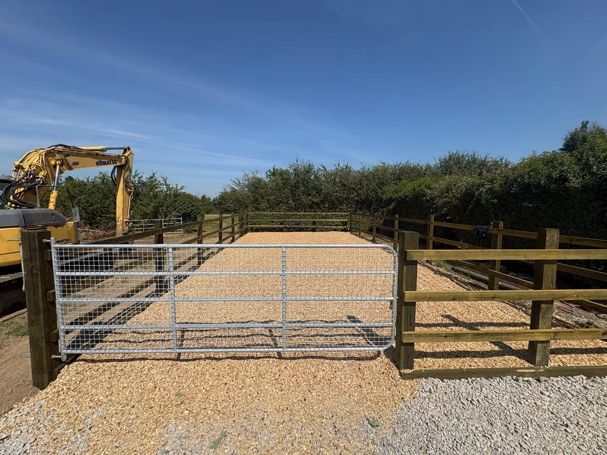 Arena Construction – TAMS Spec. Nationwide - Image 2