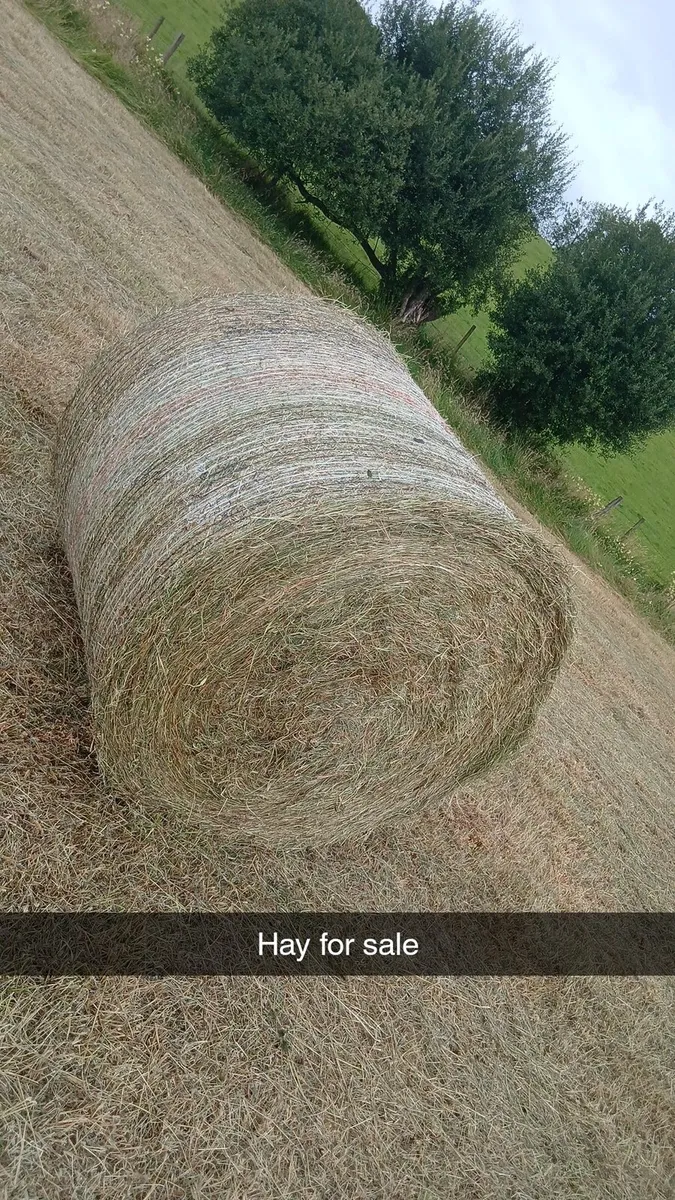 Organic Hay