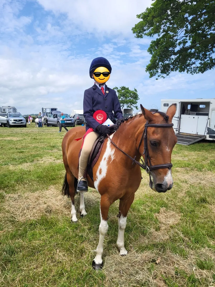 13 h  Beginner Pony - Image 2