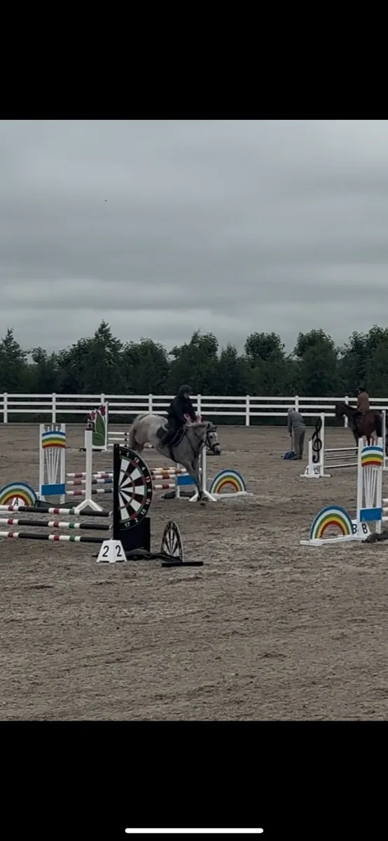 4yo pony - Image 1