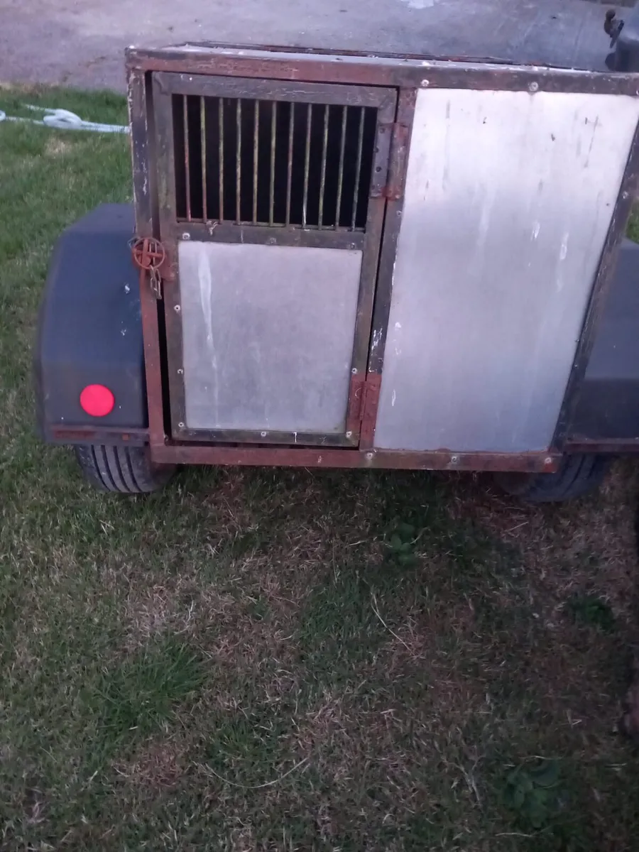 Galvanized trailer - Image 2