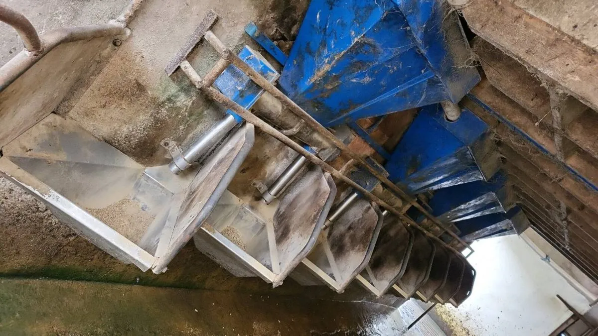 Parlour feeders - Image 4