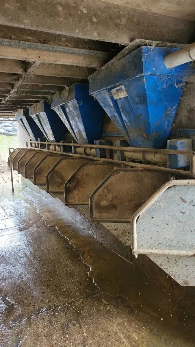Parlour feeders - Image 2