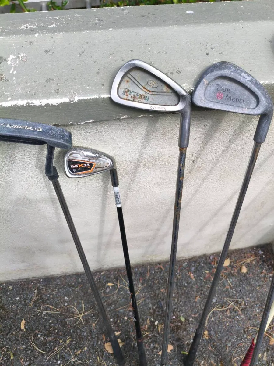 Mixed golf clubs make offer - Image 4