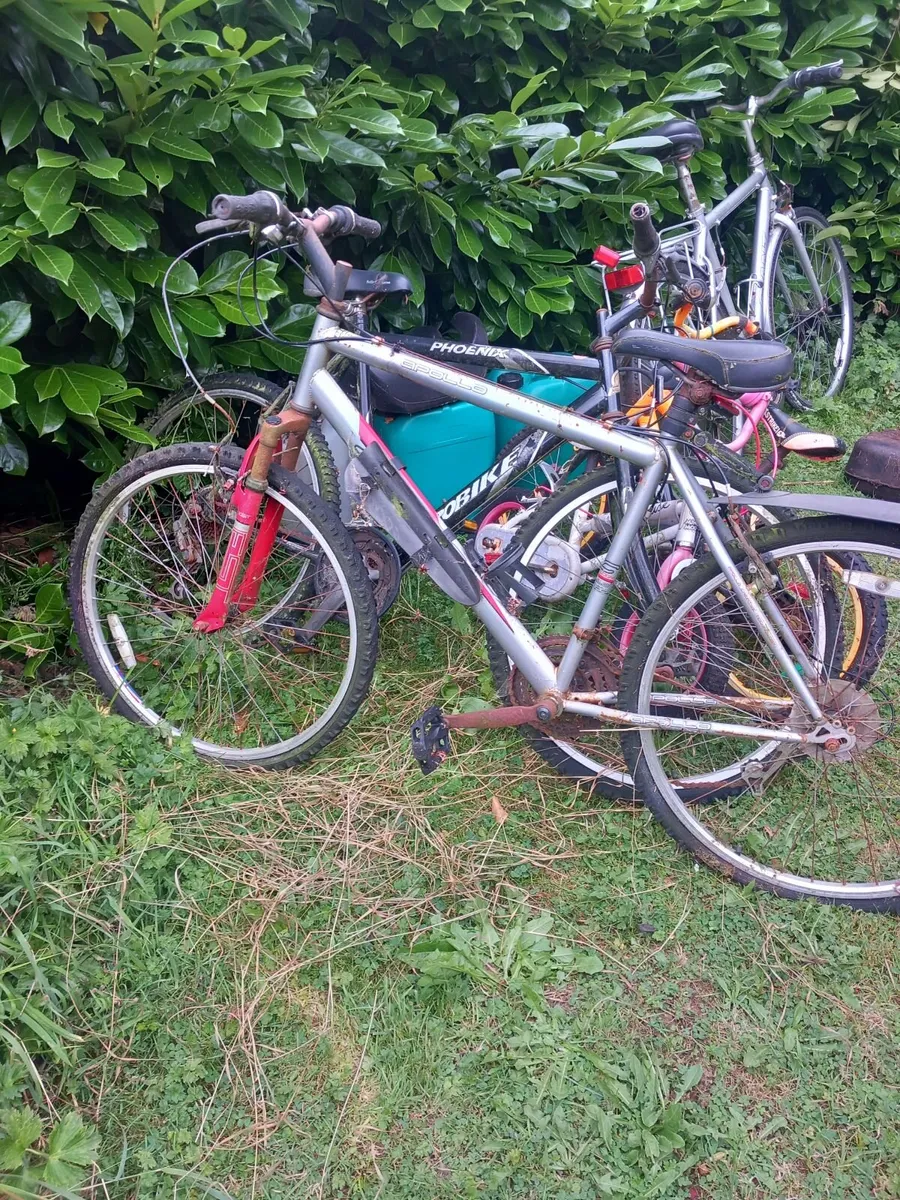 Bicycles  and gocarts - Image 1