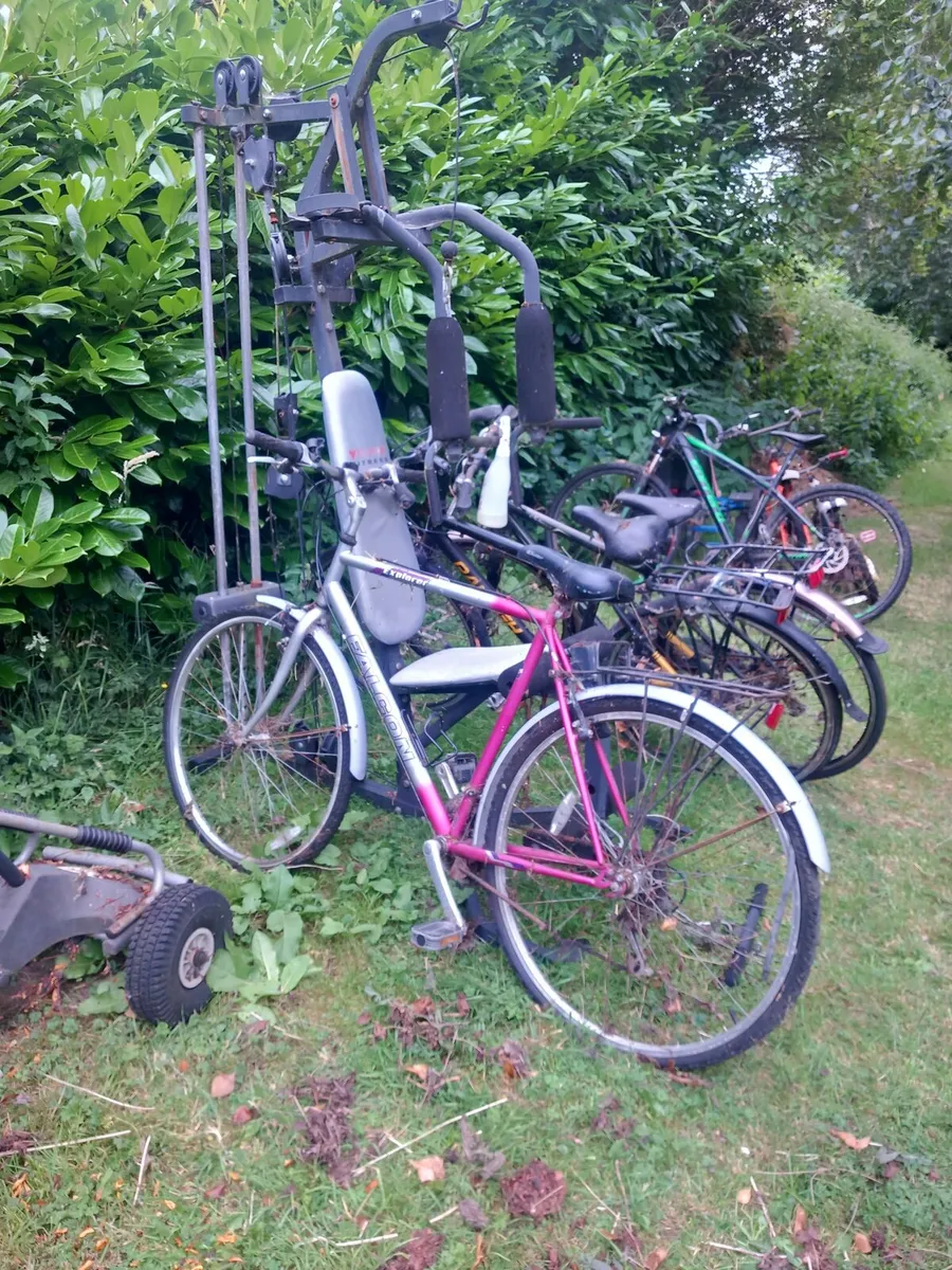 Bicycles  and gocarts - Image 2