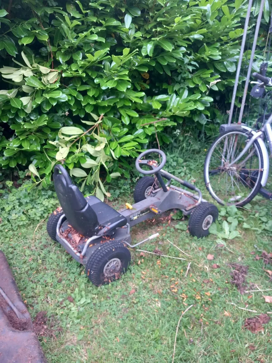 Bicycles  and gocarts - Image 4