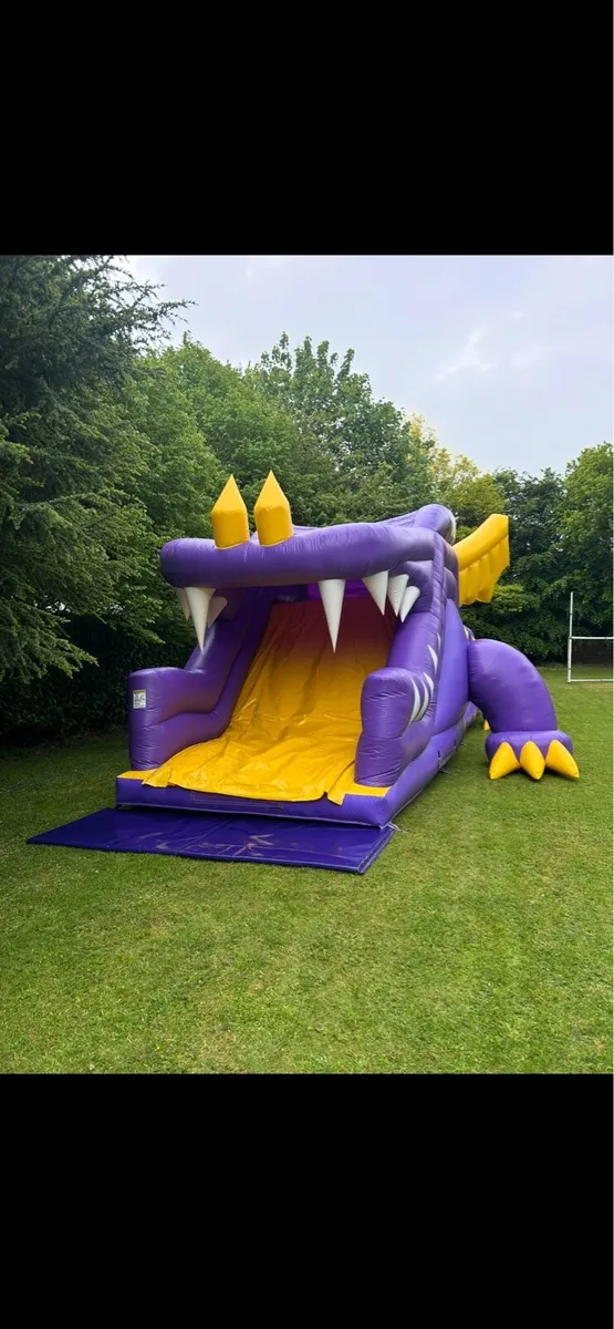 Bouncy castles - Image 4