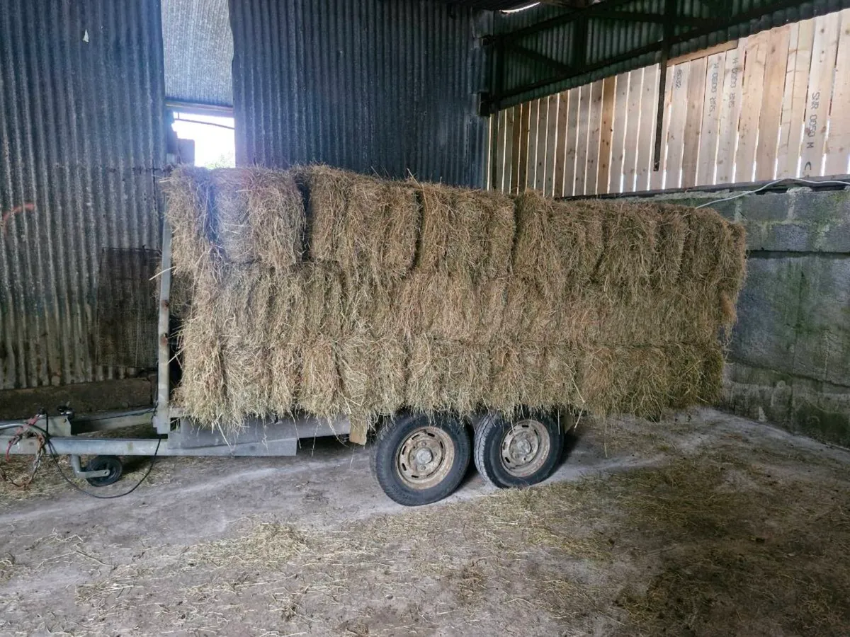 36 Bales of Hay. - Image 1