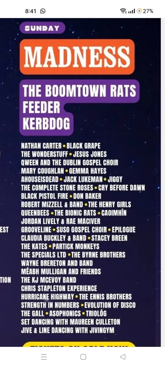 Forest fest Sunday ticket