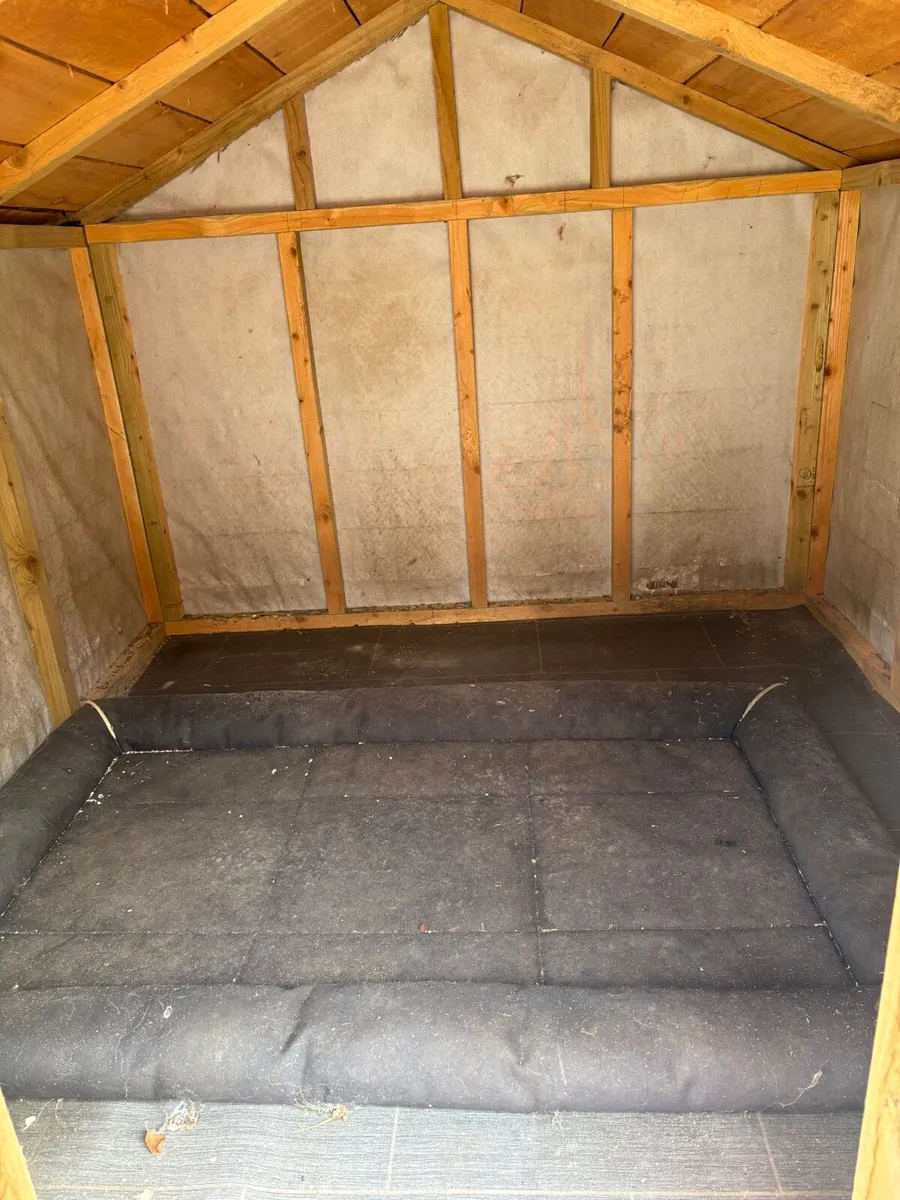 Large Dog kennel - Image 4