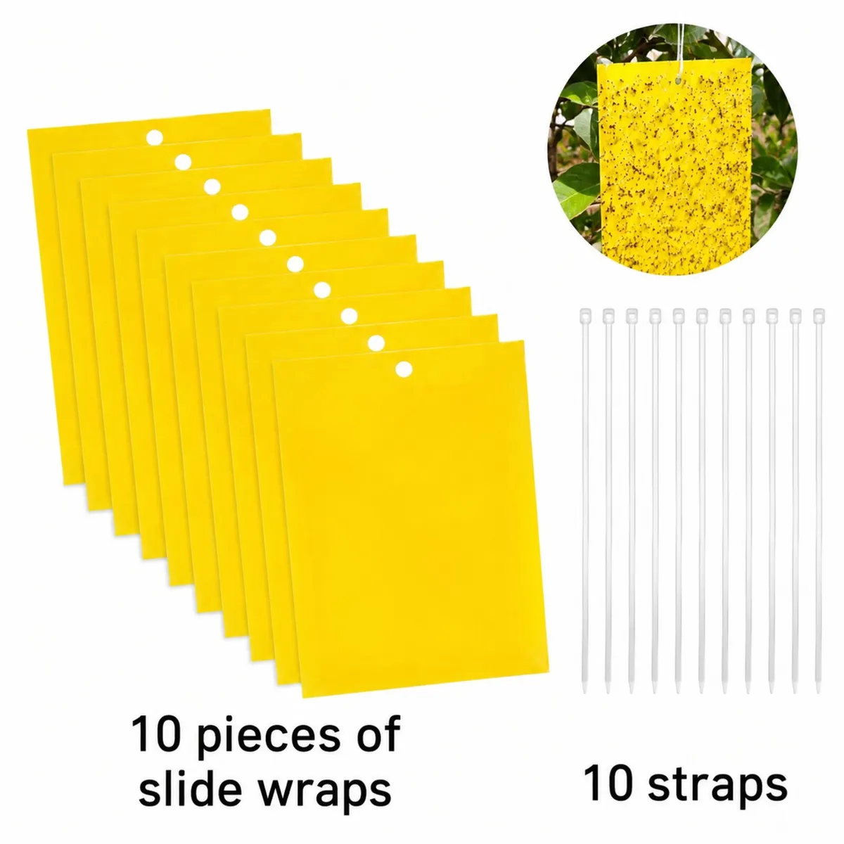 Sticky Fly Traps x10 - Image 3