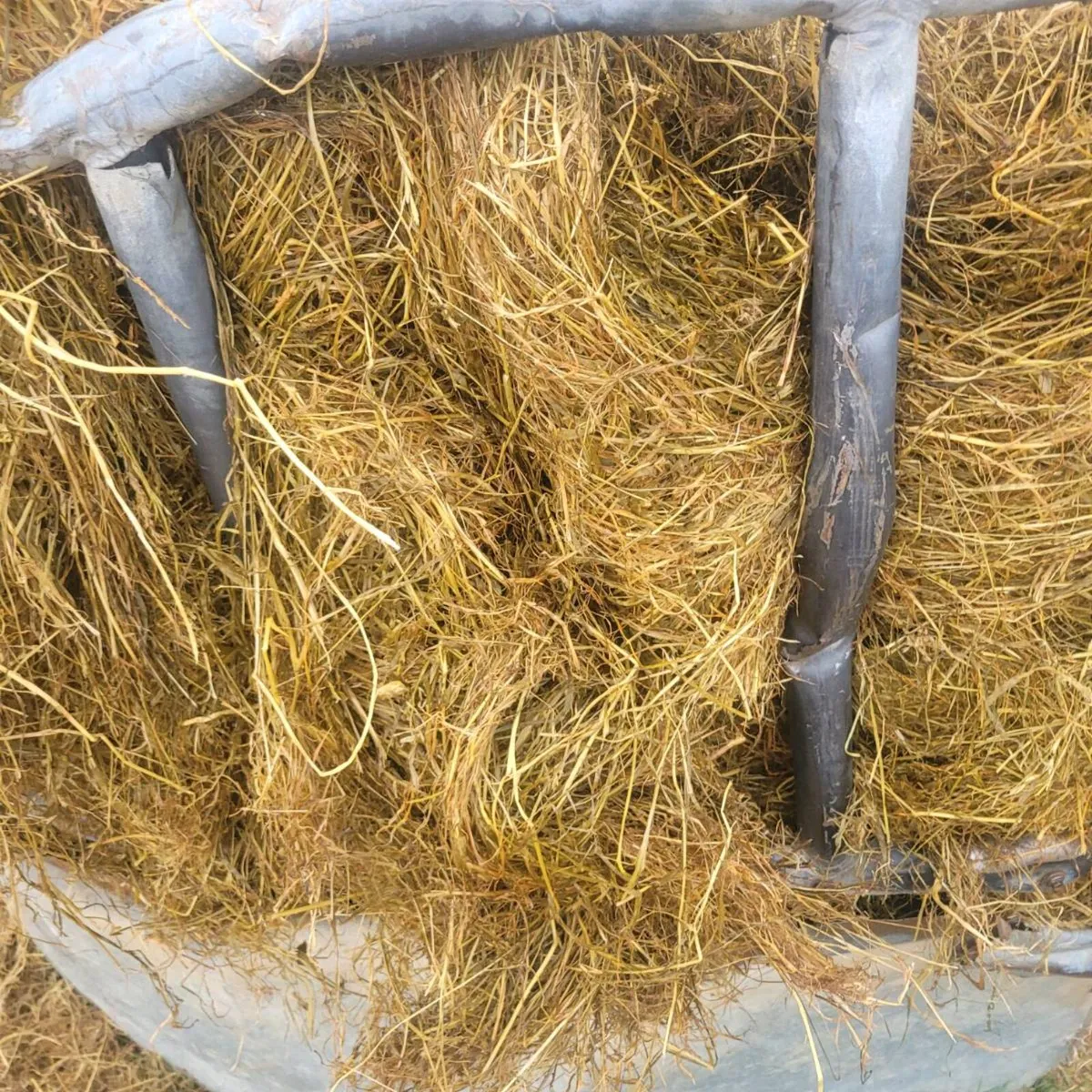 Silage - Image 3